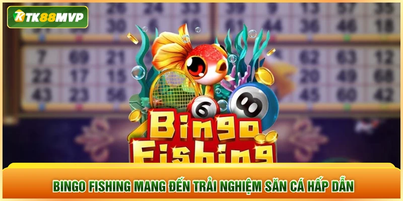 Bingo Fishing mang đến trải nghiệm săn cá hấp dẫn Bingo Fishing mang đến trải nghiệm săn cá hấp dẫn