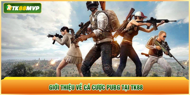 Giới thiệu về cá cược PUBG tại TK88 Giới thiệu về cá cược PUBG tại TK88