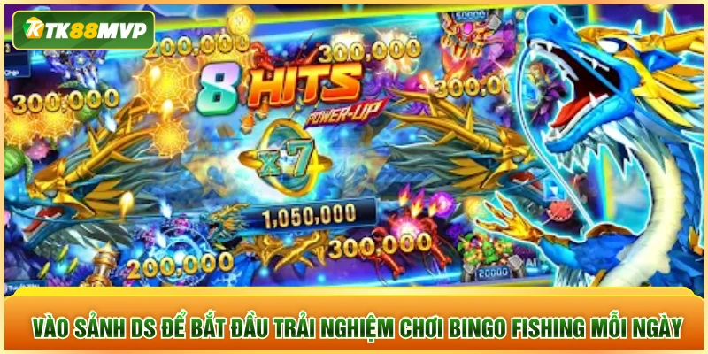 Vào sảnh DS để bắt đầu trải nghiệm chơi Bingo Fishing mỗi ngày Vào sảnh DS để bắt đầu trải nghiệm chơi Bingo Fishing mỗi ngày