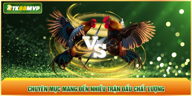 Chuyên mục mang đến nhiều trận đấu chất lượng