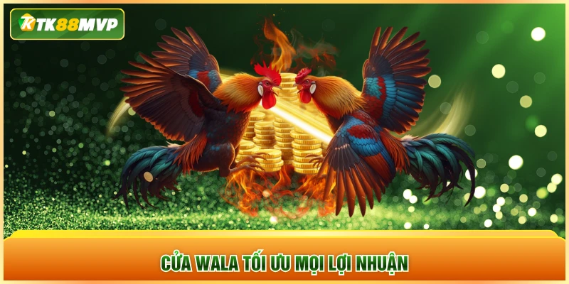 Cửa Wala tối ưu mọi lợi nhuận