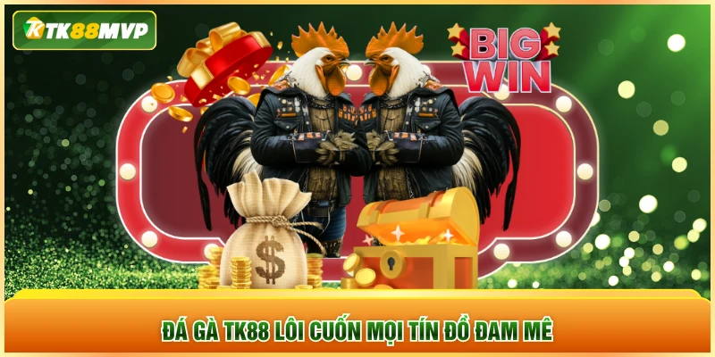 Đá gà TK88 lôi cuốn mọi tín đồ đam mê