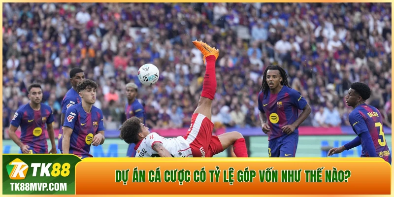 Dự án cá cược có tỷ lệ góp vốn như thế nào? Dự án cá cược có tỷ lệ góp vốn như thế nào?