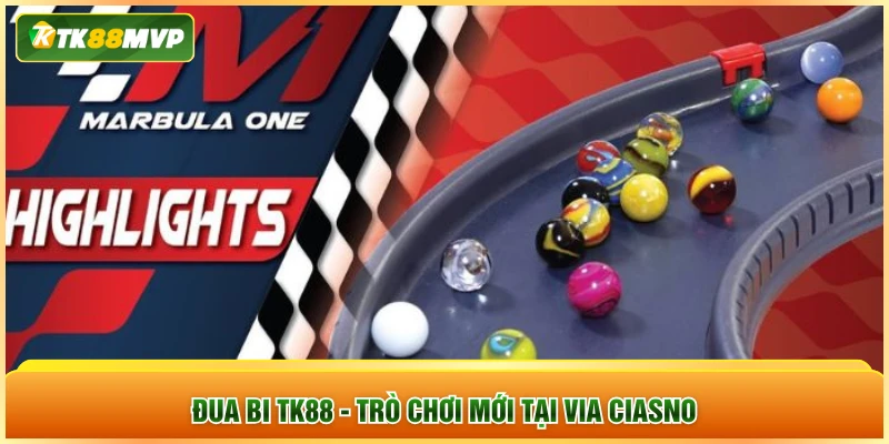 Đua bi TK88 - trò chơi mới tại Via Ciasno Đua bi TK88 - trò chơi mới tại Via Ciasno