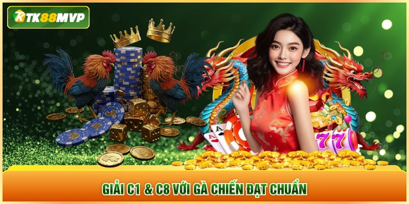 Giải C1 & C8 với gà chiến đạt chuẩn