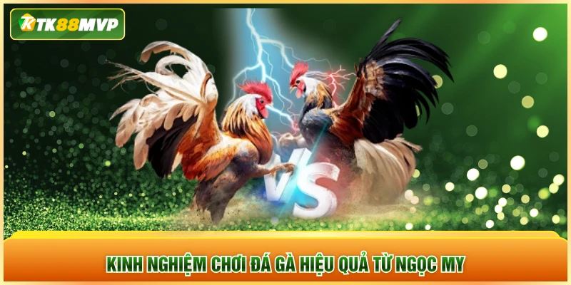 Kinh nghiệm chơi đá gà hiệu quả từ Ngọc My Kinh nghiệm chơi đá gà hiệu quả từ Ngọc My