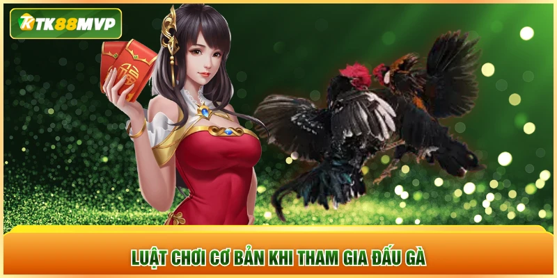 Luật chơi cơ bản khi tham gia đấu gà Luật chơi cơ bản khi tham gia đấu gà