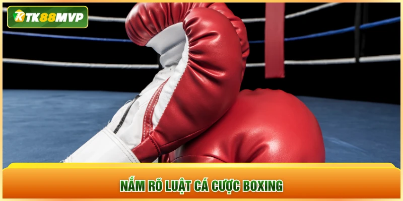 Nắm rõ luật cá cược boxing Nắm rõ luật cá cược boxing