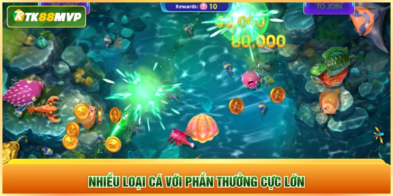 Nhiều loại cá với phần thưởng cực lớn Nhiều loại cá với phần thưởng cực lớn