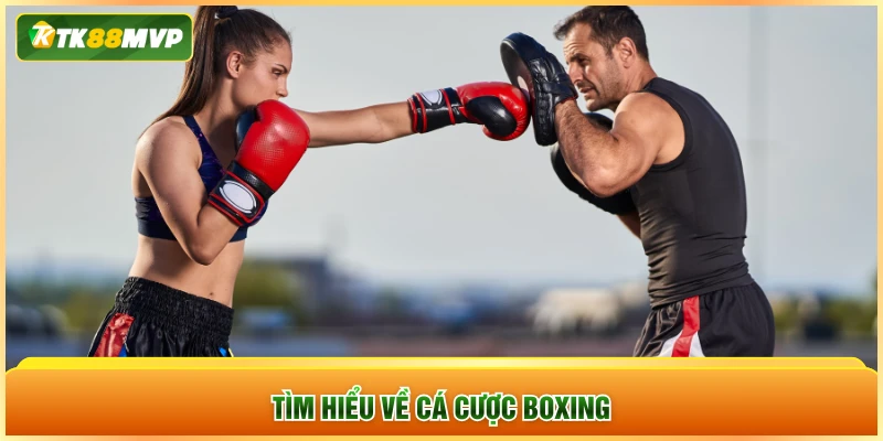 Tìm hiểu về cá cược boxing Tìm hiểu về cá cược boxing